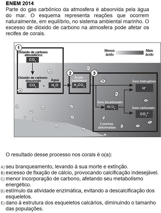 Informativa